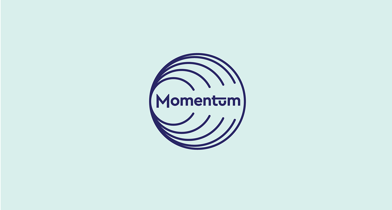 Momentum Learning