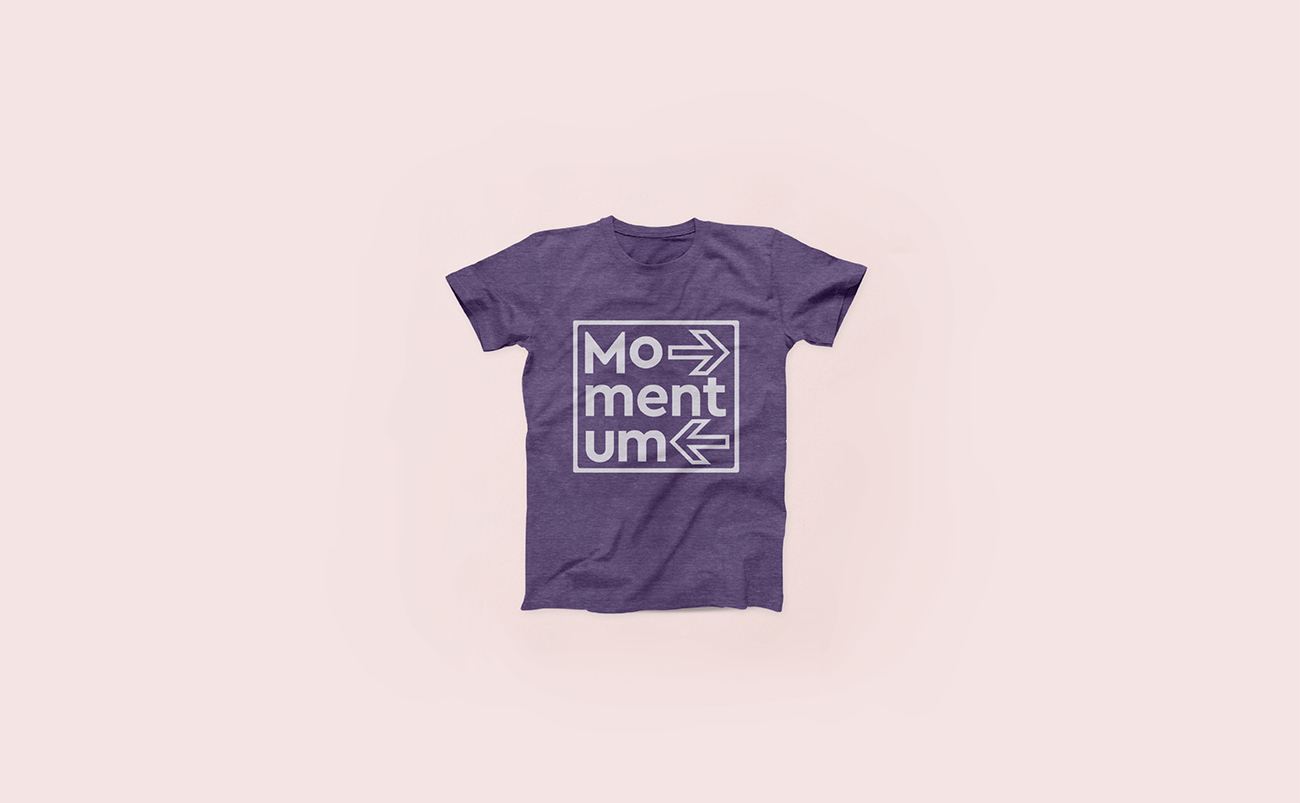 Momentum Learning